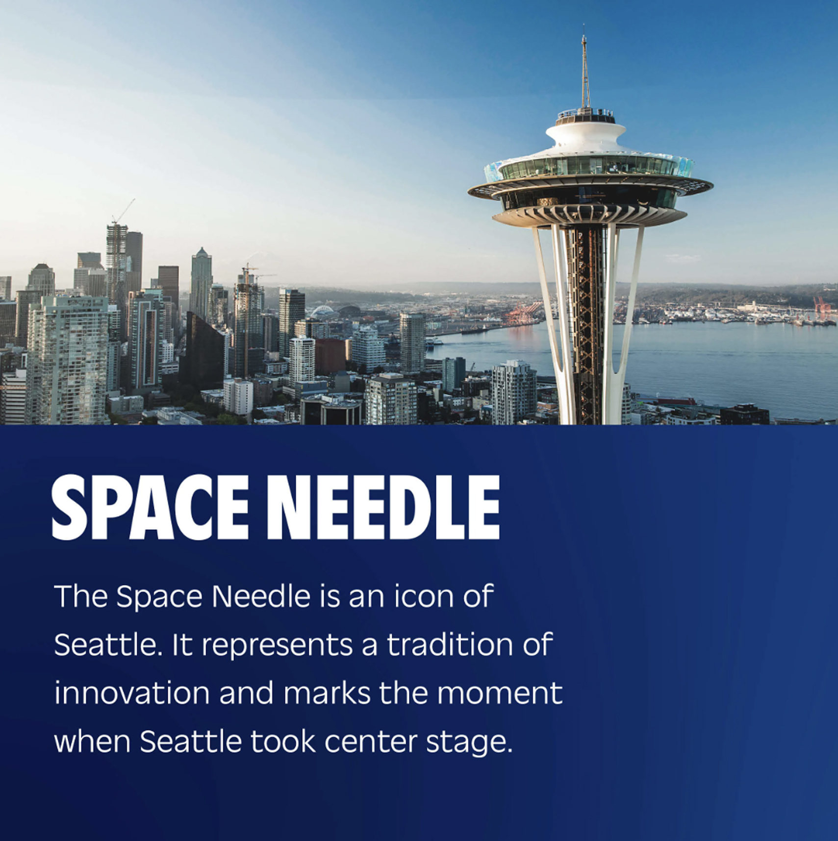 Studio Colangelo, Home: Seattle Sounders FC (fig. 3)