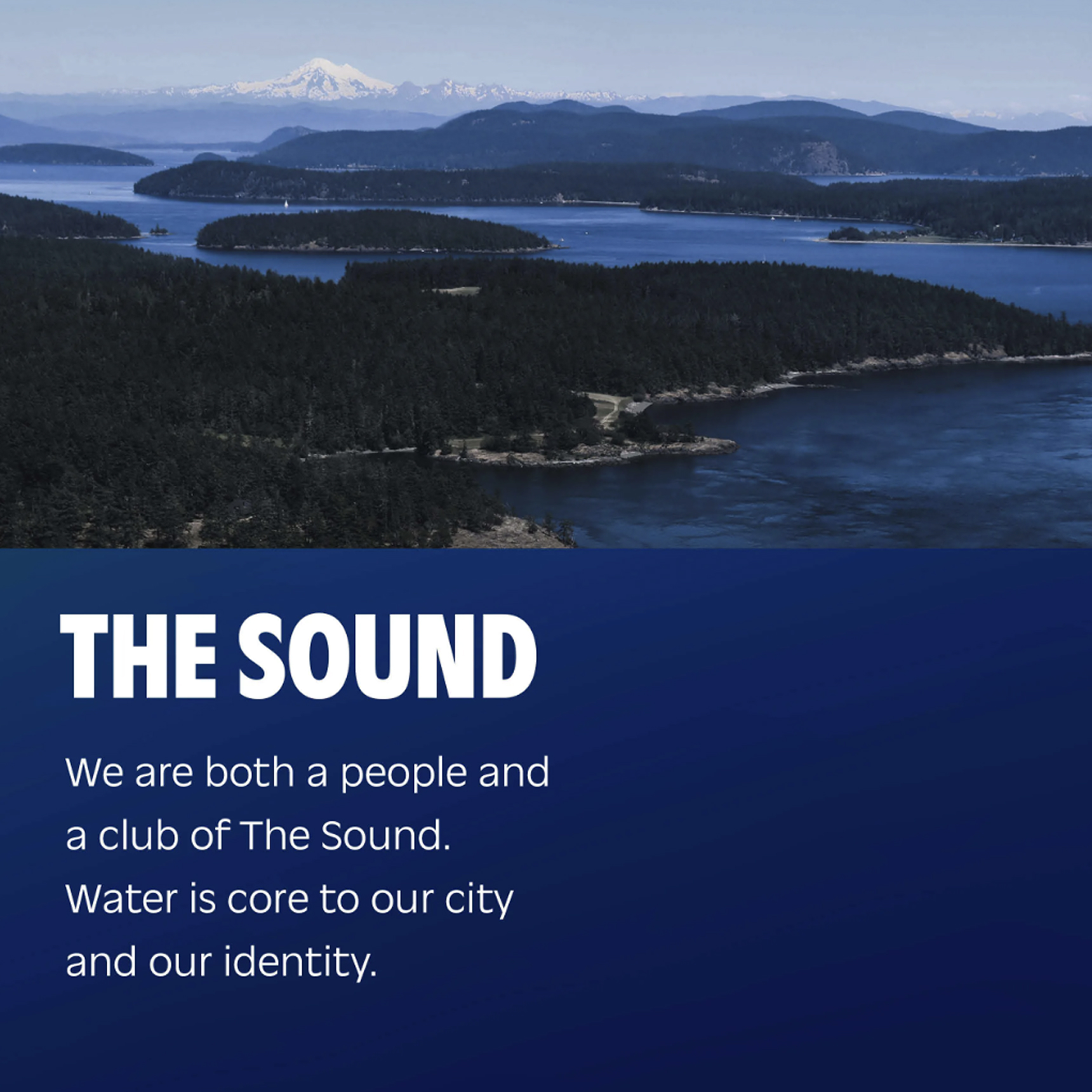 Studio Colangelo, Home: Seattle Sounders FC (fig. 2)